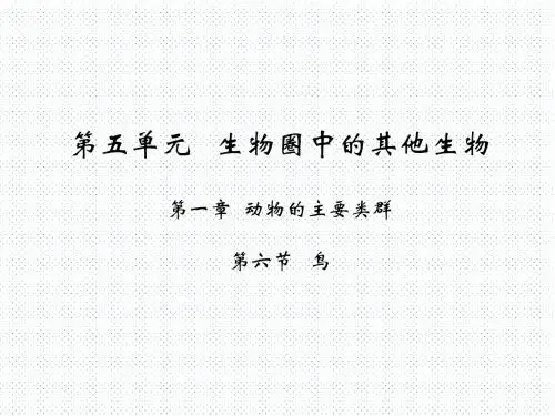 人教版八年级生物上册课件：第五单元 第一章 第六节   鸟(共22张ppt)