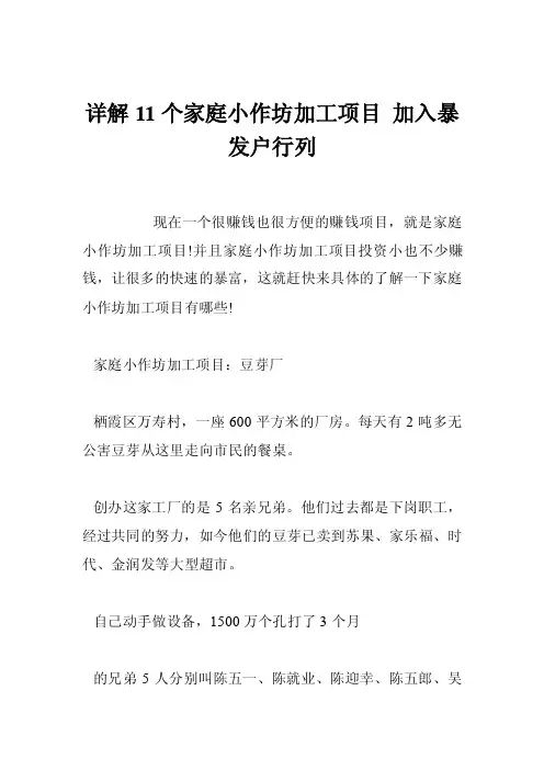 详解11个家庭小作坊加工项目加入暴发户行列