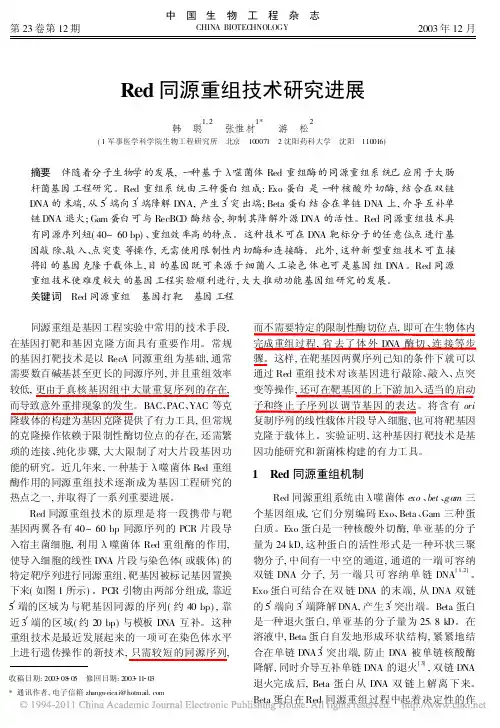 Red同源重组技术研究进展
