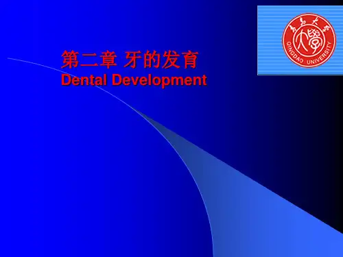 第二章牙的发育案例PPT课件