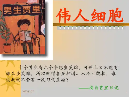 12伟人细胞_ ppt课件