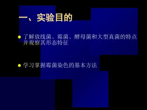 实验三霉菌放线菌形态观察及微生物菌落观察