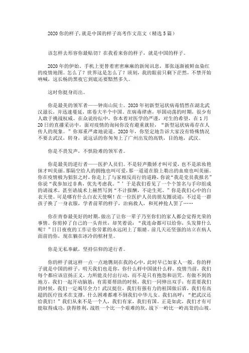 你的样子,就是中国的样子高考作文(最新)