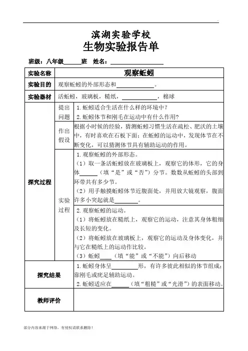 八年级生物—观察蚯蚓实验报告单