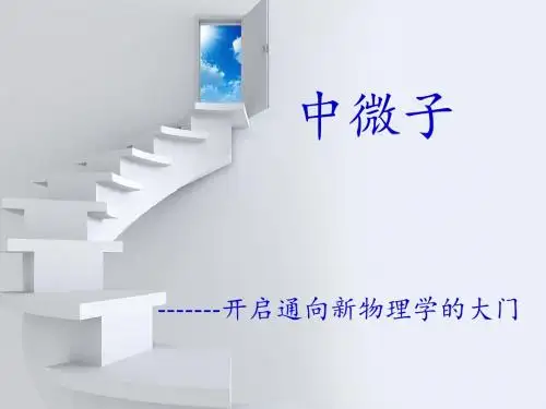 中微子汇总