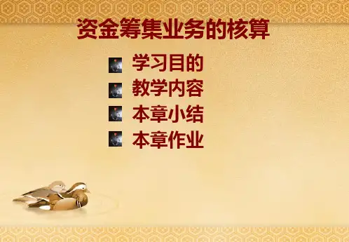 资金筹集业务的核算