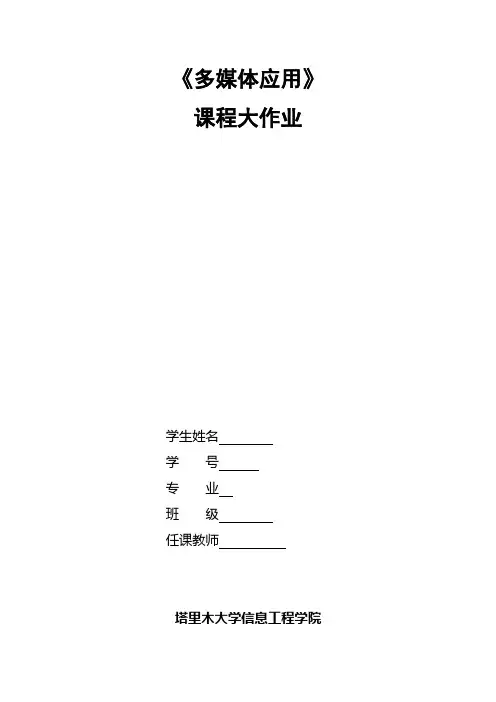 多媒体应用大作业