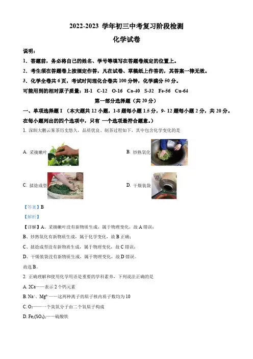 2023年广东省深圳市罗湖区深圳中学中考模拟化学试题(解析版)