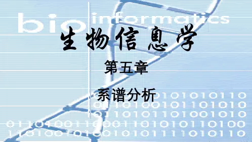 第五章系谱分析