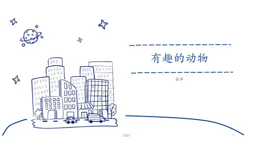 有趣的动物PPT课件