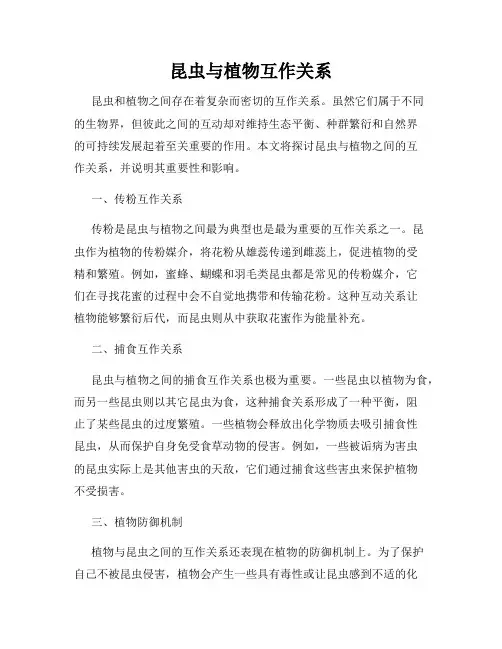 昆虫与植物互作关系