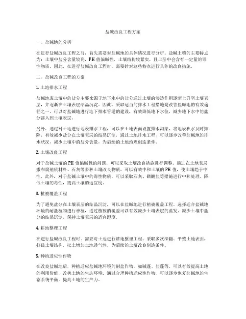盐碱改良工程方案