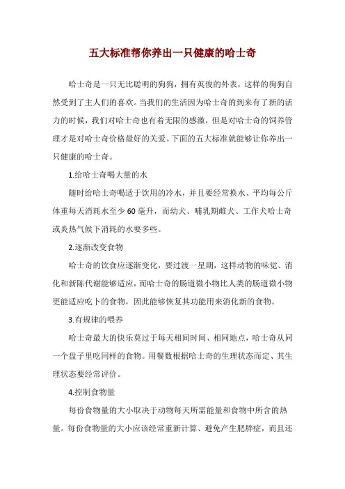 五大标准帮你养出一只健康的哈士奇