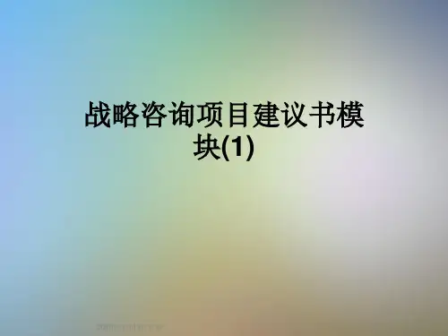 战略咨询项目建议书模块(1)
