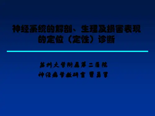 神经病学-神经系统解剖及定位诊断 PPT