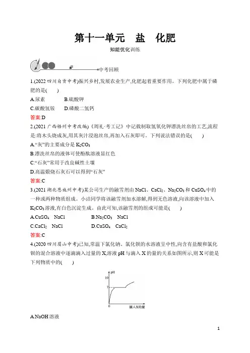 人教版九年级化学中考总复习  第11单元 盐 化肥  含答案及解析