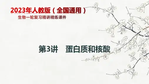 第3讲+蛋白质和核酸-备战2024年高考生物一轮复习精讲精练