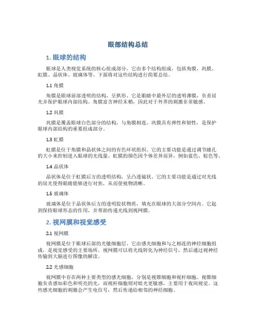 眼部结构总结