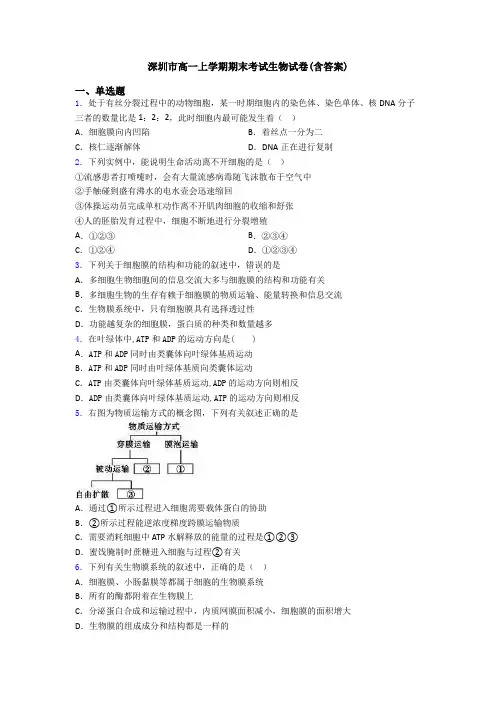 深圳市高一上学期期末考试生物试卷(含答案)