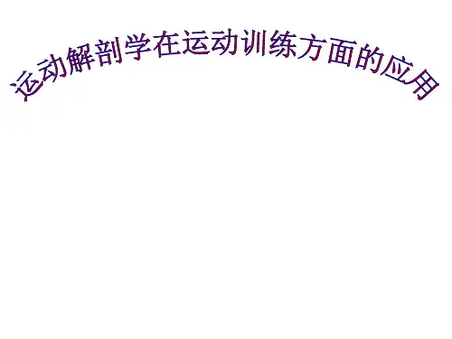 运动解剖学在运动训练方面的应用PPT课件