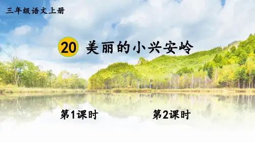 人教版三年级语文上册第20课《美丽的小兴安岭》优质课件【最新】