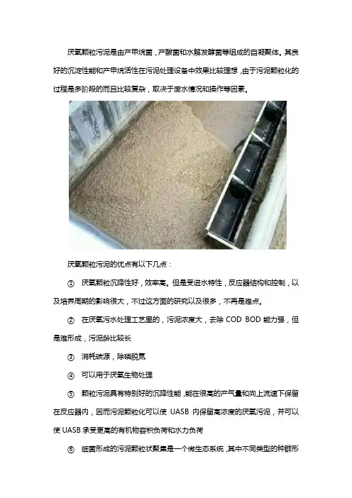厌氧颗粒污泥优点