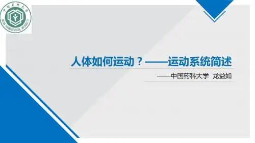 高等动物的结构与功能4 运动系统
