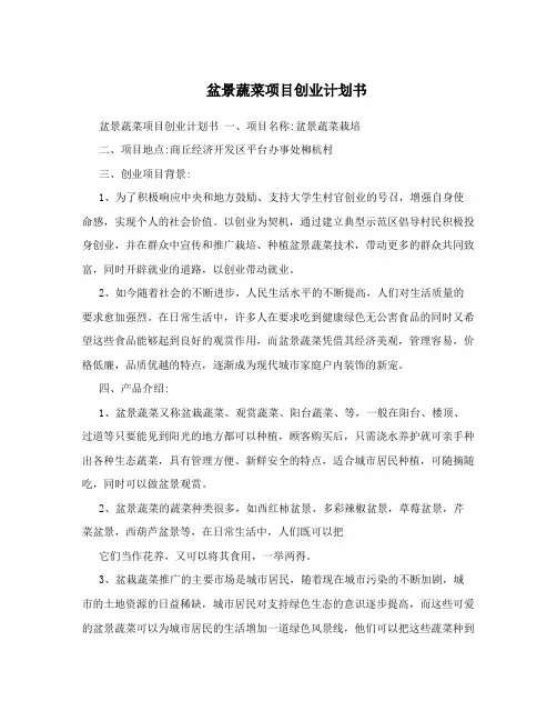 盆景蔬菜项目创业计划书