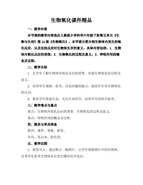 生物氧化课件精品