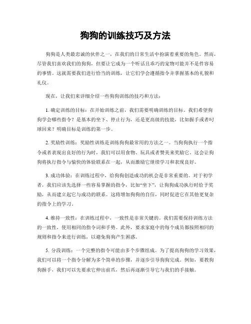 狗狗的训练技巧及方法