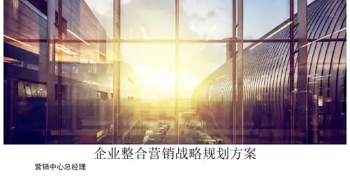 企业整合营销战略规划方案