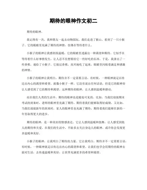 期待的眼神作文初二