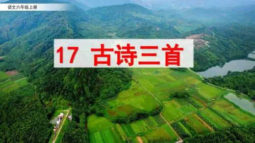 部编版六年级语文上册第六单元：17 古诗三首