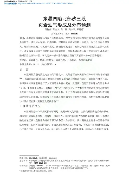 东濮凹陷北部沙三段页岩油气形成及分布预测_吕艳南_张金川_张鹏_黄宇琪_邓恩德