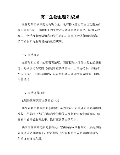 高二生物血糖知识点