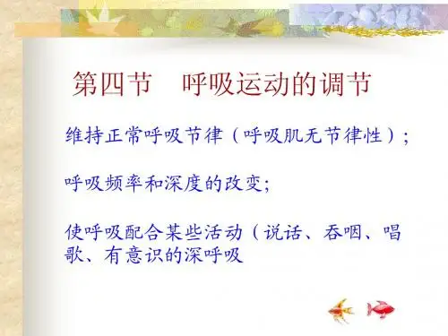 第四节呼吸运动的调节