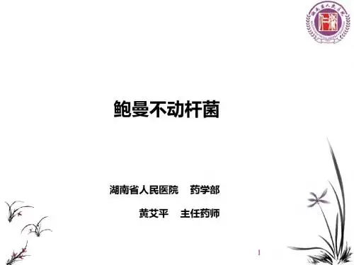 鲍曼不动杆菌修改版本