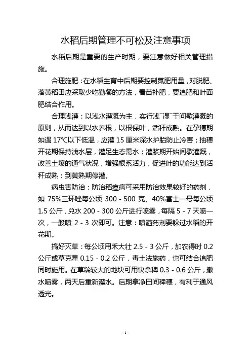 水稻后期管理不可松及注意事项