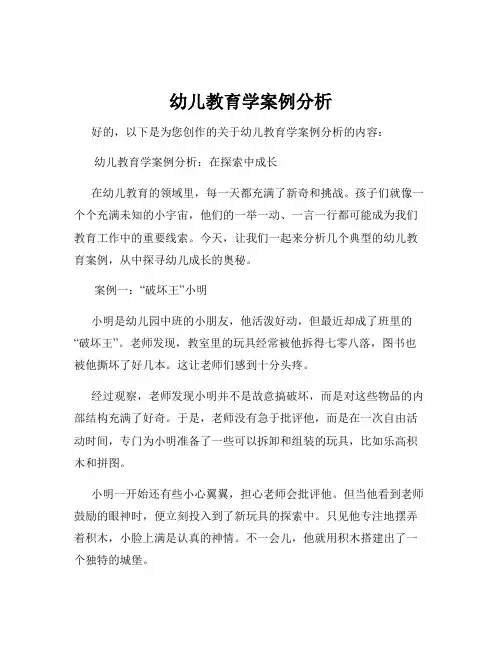幼儿教育学案例分析
