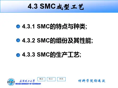 SMC成型工艺武汉理工大学