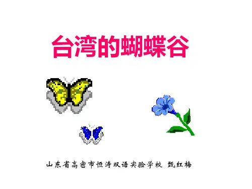 台湾的蝴蝶谷