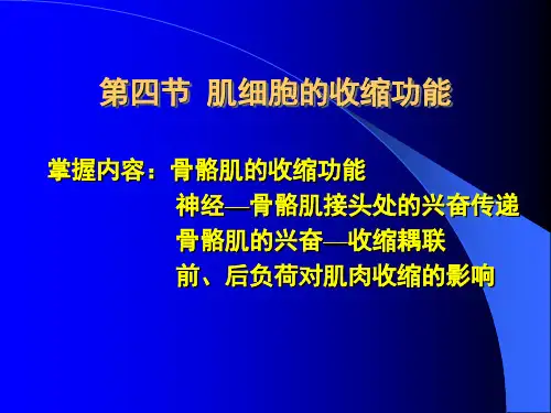 第四节肌细胞的收缩功能