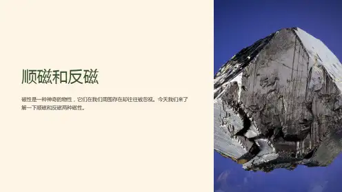 《顺磁和反磁》课件