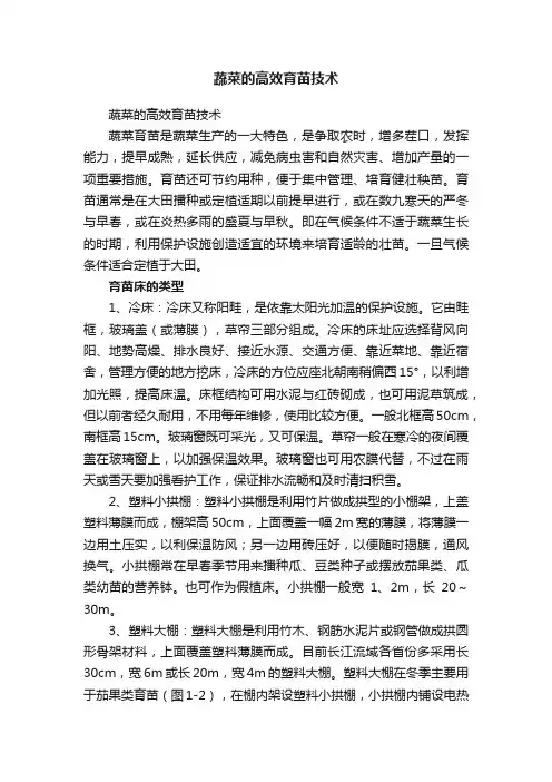 蔬菜的高效育苗技术