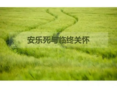 安乐死与临终关怀