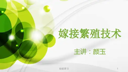 嫁接知识 嫁接繁殖技术(谷风参考)
