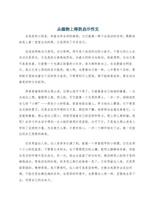 从植物上得到启示作文