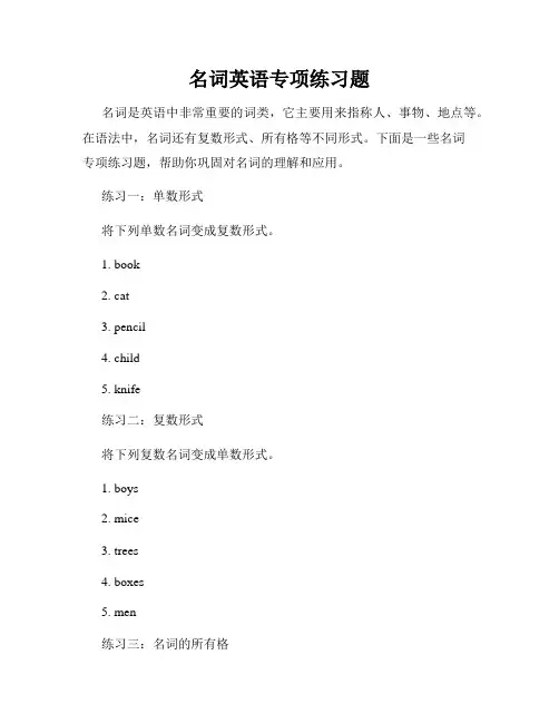 名词英语专项练习题