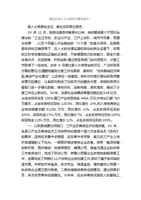 副县长对于人大的评议整改报告一_整改报告_