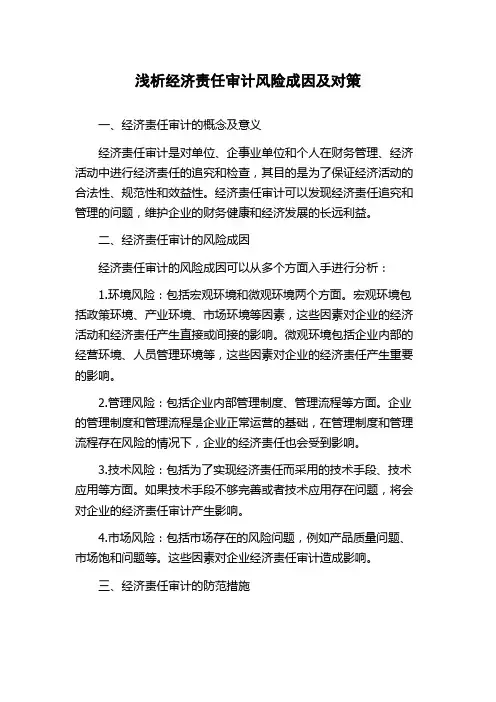 浅析经济责任审计风险成因及对策